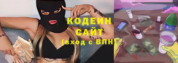 мет Алексин