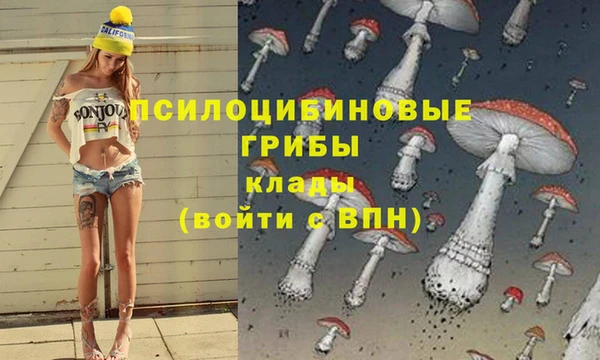 мет Алексин