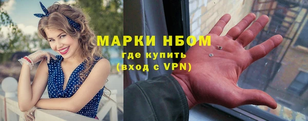 мет Алексин